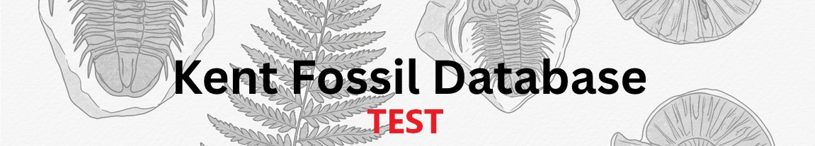 Kent Fossil Database